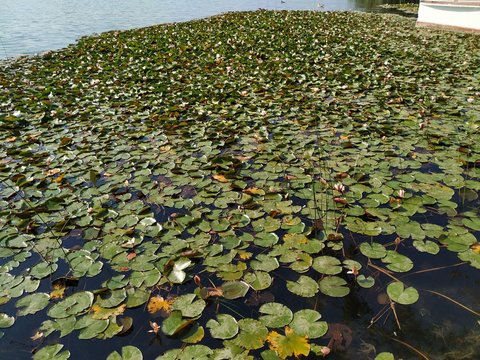 中国U15点球大战胜日本章琮玺神勇扑救助队夺杯荣耀